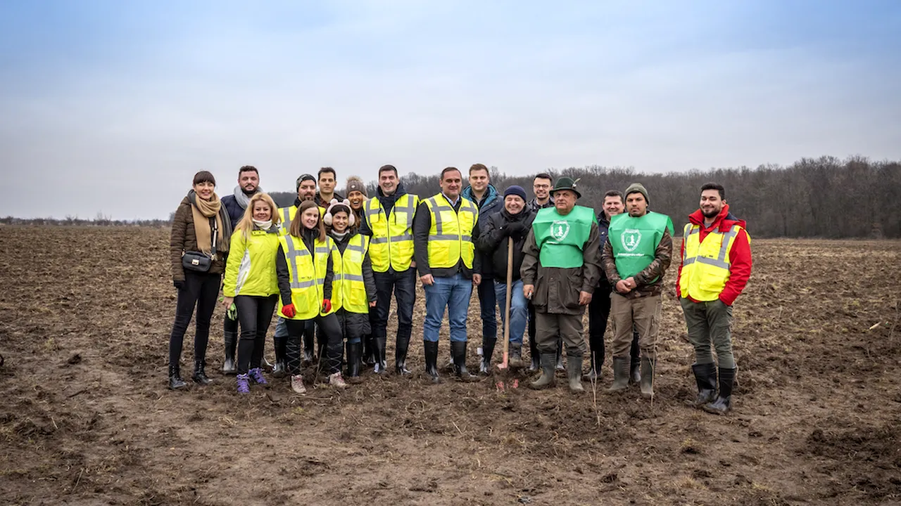 (P) Peste 16.000 de puieţi au fost plantaţi în judeţul Ilfov, la iniţiativa Nordis Group, pe un teren aflat în proprietatea dezvoltatorului