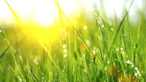 Vremea devine călduroasă în cea mai mare parte a ţării. Zonele unde temperaturile vor fi caniculare. PROGNOZA METEO pentru sâmbătă şi duminică