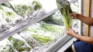 Salata la pungă este periculoasă? Sfaturile unui virolog italian