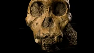 Oamenii de ştiinţă au aflat noi detalii despre evoluţia umană