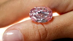 Diamant de milioane. Cu cât s-a vândut „Spiritul Trandafirului”