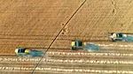 Războiul de la Marea Neagră amenință din nou prețul pâinii. Grâul s-a scumpit cu aproape 6% într-o lună, iar navele sunt împinse spre Constanța
