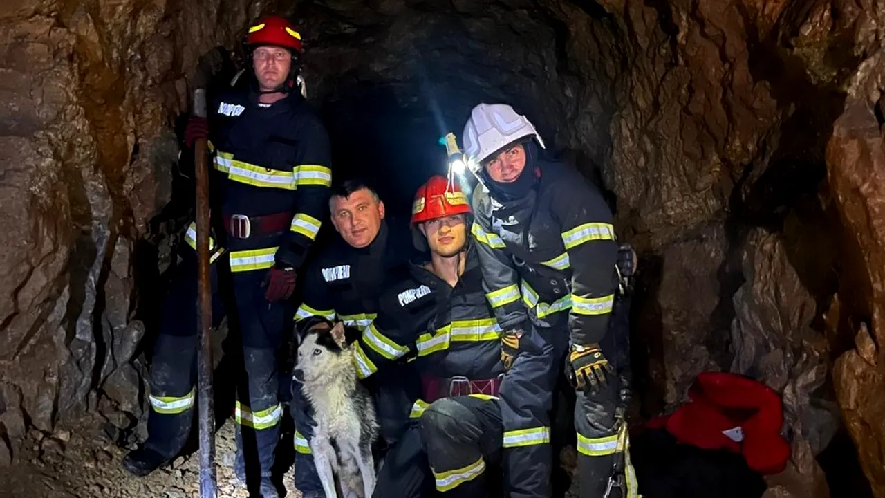 Câine salvat, după ce a căzut într-o groapă adâncă de aproximativ 10 metri, într-o mină dezafectată