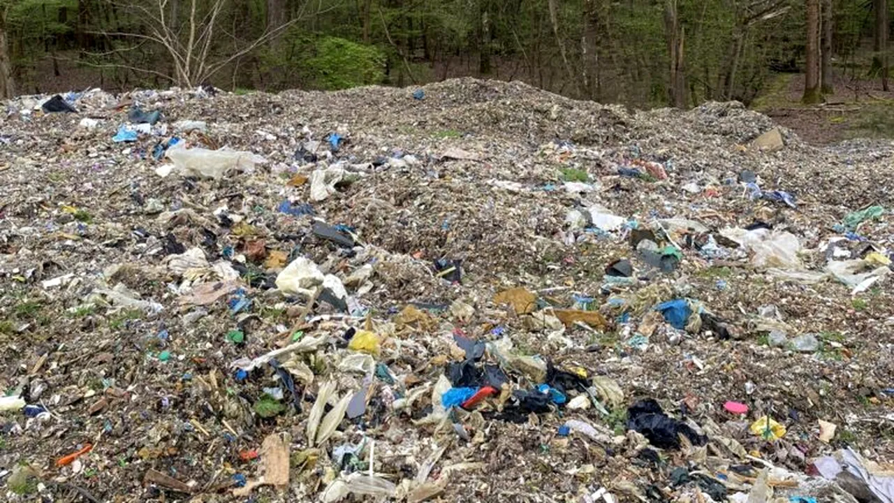 O pădure protejată pentru plantele sale rare, îngropată sub 40.000 de tone de gunoaie. Refacerea ar putea dura decenii