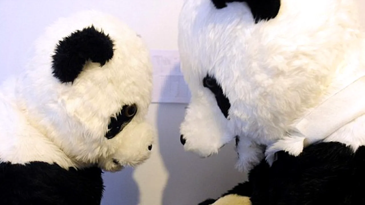 Oameni sau animale? Vezi aici cum sunt îngrijiţi puii de panda în China - FOTO
