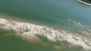 Mesajul „La naiba, PSD” a fost scris pe insula formată pe Dunăre în dreptul oraşului Galaţi. Şapte persoane au participat la operaţiune