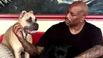 Vedeta din „Fast and Furious”, Tyrese Gibson, cautată de poliție. Câinii săi ar fi ucis animalul de companie al unui vecin