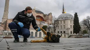 Erdogan anunţă măsuri de izolare la domiciliu în 31 de oraşe
