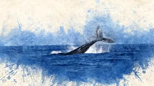 Cea mai veche înregistrare cunoscută a cântecului unei balene ar putea dezvălui misterele oceanului