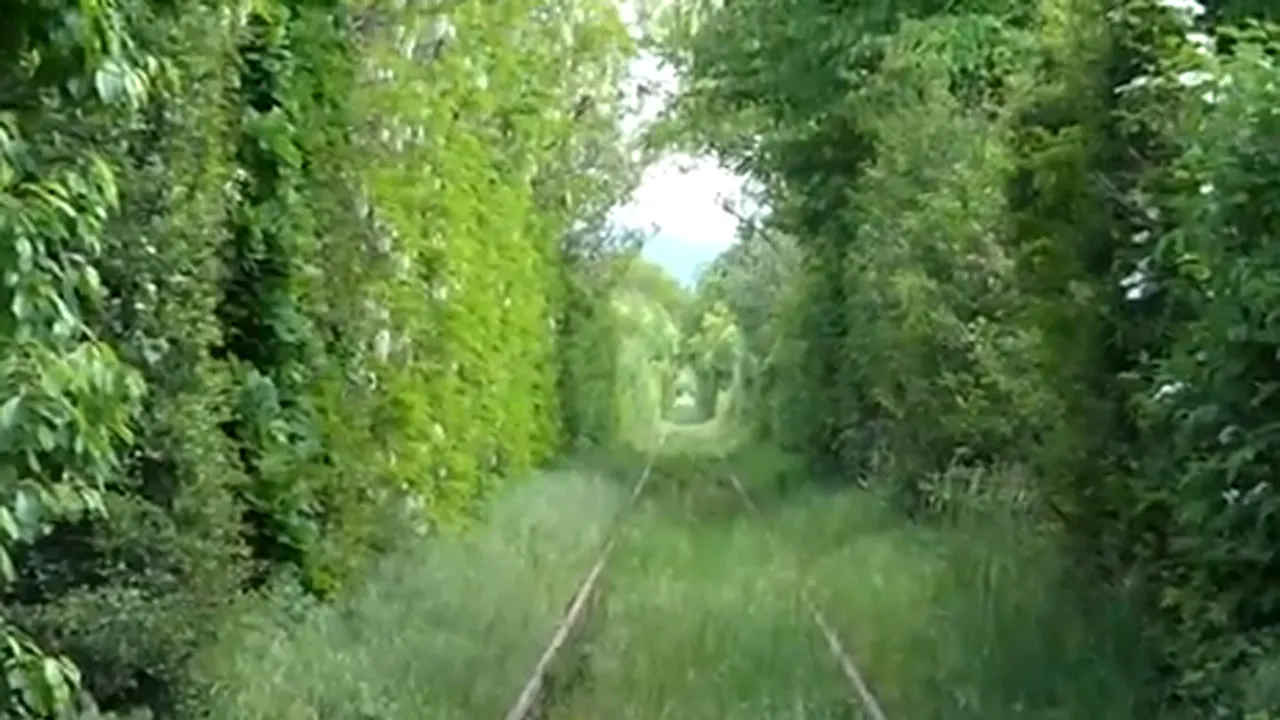 Tunelul Iubirii din România, inclus pe lista 