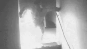 Moscova: Un bărbat fără adăpost a fost ars de viu pentru că mirosea urât - VIDEO