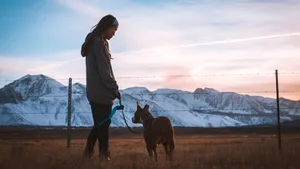 Un veterinar avertizează asupra a cinci rase de câini pe care „nu le-ar alege niciodată”