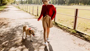 Medicii veterinari dezvăluie secretul unei vieți mai lungi pentru câini
