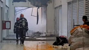 Magazinele Dragonul Roşu, dotate cu echipamente împotriva incendiilor şi asigurate la Generali