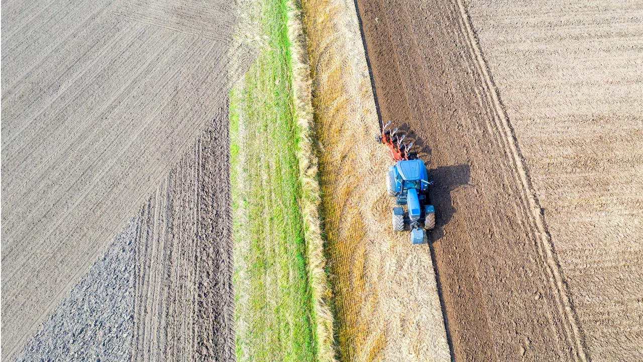 Studiu: 1% dintre ferme exploatează 70% din terenurile agricole ale lumii. Inegalitatea terenurilor este mai mare decât se credea anterior
