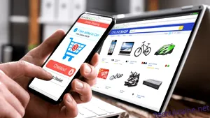 E-commerce-ul intră în era noului model de consumator care apreciază economiile mai mult decât loialitatea faţă de branduri (P)