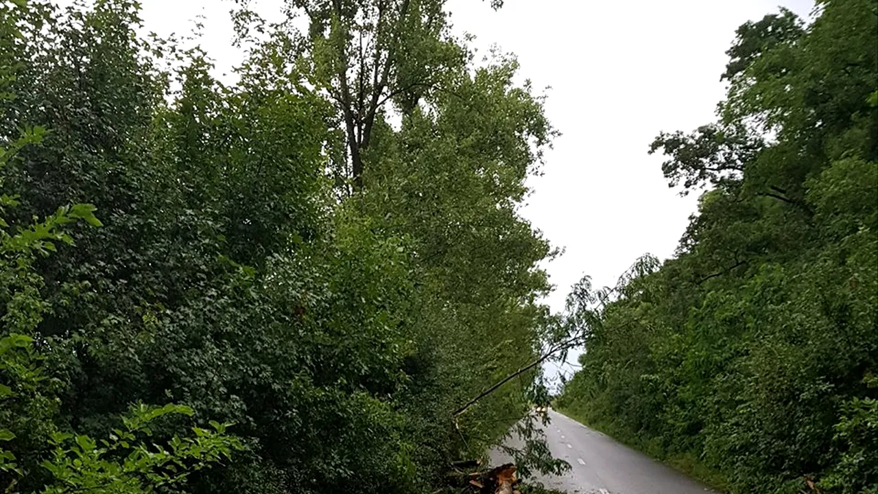 IGSU: Zeci de intervenţii ca urmare a fenomenelor meteorologice, în ultimele ore