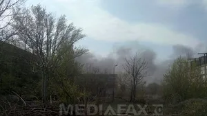 INCENDIU la o hală a fostei fabrici de ţevi Republica din Capitală - FOTO