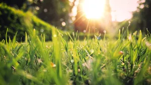 Prognoza meteo pentru următoarele două săptămâni: Vremea se încălzeşte până în 10 iunie, iar apoi va avea o tentinţă de scădere uşoară