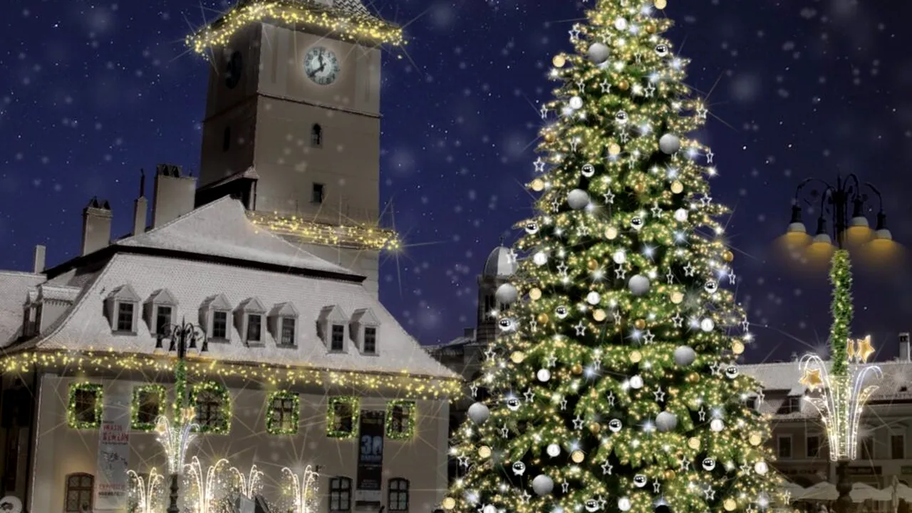 Romsilva vinde peste 16.000 de pomi de Crăciun. Cât costă un brad pentru împodobit