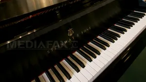 Un pian decorat cu o jumătate de milion de cristale Swarovski, vândut cu peste 600.000 de dolari