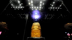 Tezaurul dacic furat din muzeul Drents din Olanda, inclus în Muzeul Obiectelor Culturale Furate