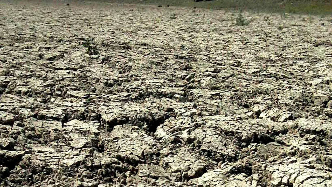Agricultorii ameninţă cu proteste, dacă Guvernul nu ia măsuri pentru combaterea efectelor secetei