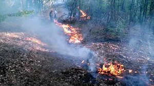 Pompieri şi voluntari încearcă să stingă de 17 ore un incendiu de vegetaţie din judeţul Harghita 