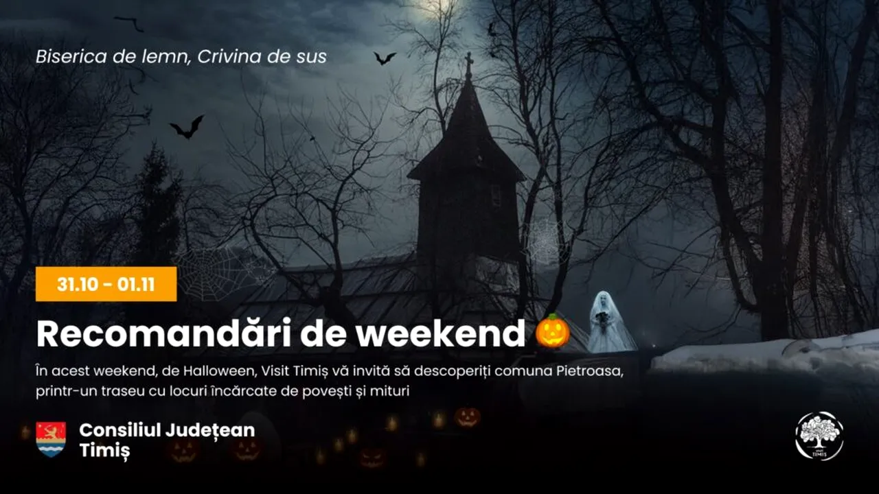 Recomandare de weekend-Visit Timiș