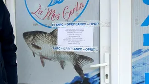 Controale ANPC: Vitrine murdare, gândaci și pește expirat, descoperite în magazinele de profil