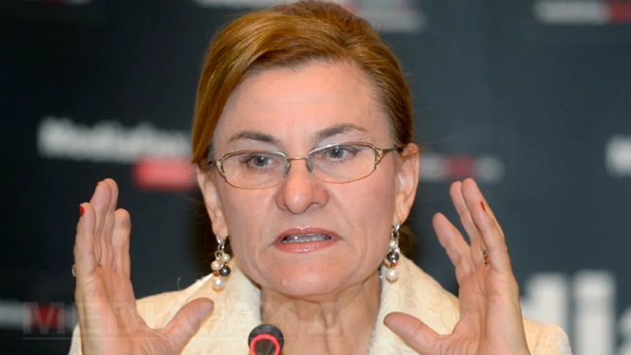 CONFERINŢA Mediafax Talks about SME's - Grapini: Voi presa ca modificările la schema de minimis să fie discutate de Guvern săptămâna viitoare