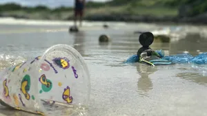 Studiu. Interzicerea și taxarea pungilor de plastic reduc deșeurile de pe țărmurile SUA