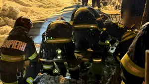 Acoperișul unui saivan s-a prăbușit în Prahova din cauza zăpezii depuse. 30 de animale au murit