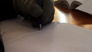 Şcoală online din cauza lipsei căldurii şi apei calde. 11 unităţi de învăţământ din Deva vor fi închise de luni 