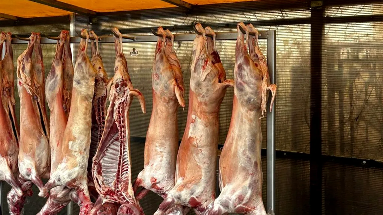 ANPC, amenzi de peste 6,3 milioane de euro pentru comercianții de carne de miel, dar și restaurante