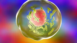 Focar de febră Q la Facultatea de Medicină Veterinară: Mai mulţi studenţi şi angajaţi au fost diagnosticaţi/ Cum se transmite boala