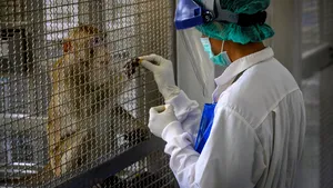 Thailanda începe testarea pe maimuţe a unui nou vaccin anti-Covid-19