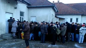 COMENTARIU Lelia Munteanu: Podobie