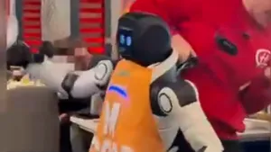Un robot chelner a început să spargă farfurii în mijlocul unui restaurant. Mai mulți oameni au încercat să-l oprească