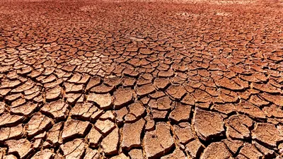 METEO El Niño revine în 2026. Ce înseamnă pentru vara care urmează