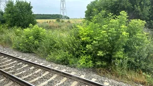 Un tren cu ruta Brașov - Constanța are o întârziere de peste două ore. A rămas în câmp, fără aer condiționat