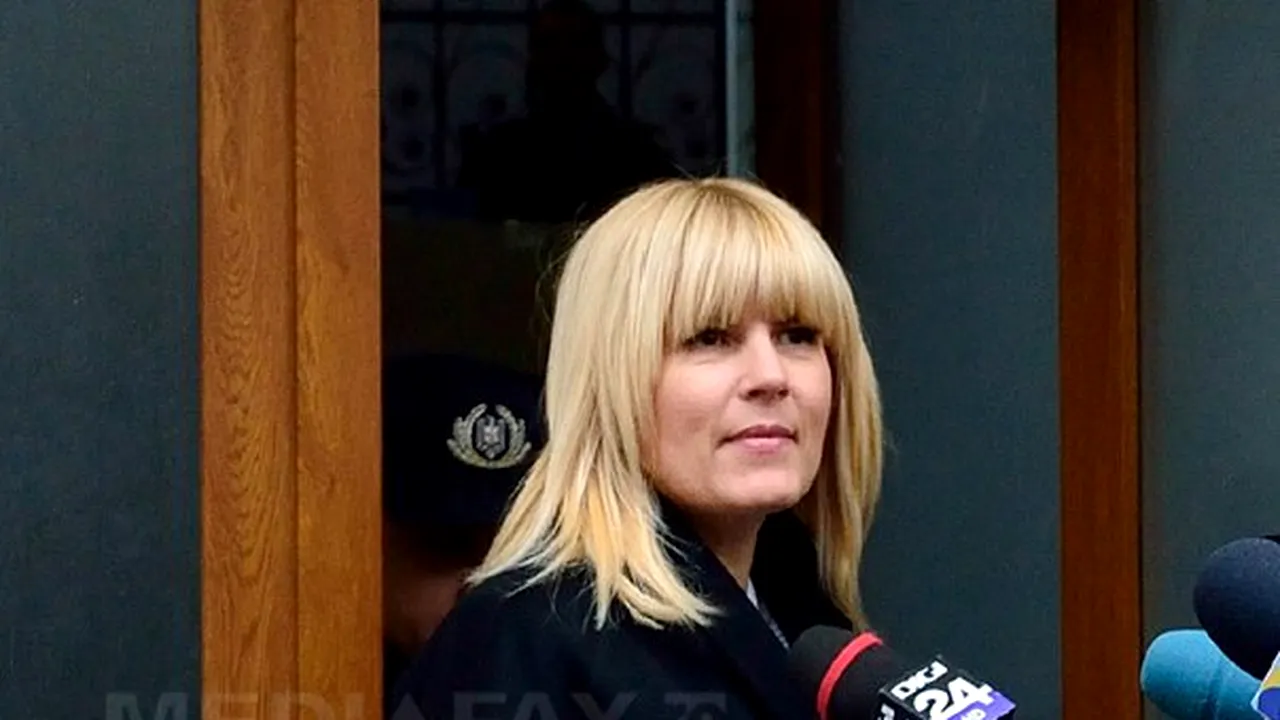 Avocat: Este decizia procurorului DNA dacă va face confruntare între Udrea şi denunţători