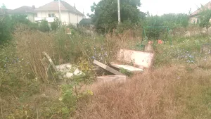 FOCUS: Zeci de elevi din Dolj merg la şcoli cu WC-ul în curte. 