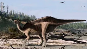 Dinozaurul cu velă de pe Insula Wight: Istiorachis macarthurae, spectaculoasa nouă specie descoperită de cercetători
