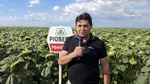 Agricultura României poate contribui la alimentarea viitorului combustibilului sustenabil pentru aviație din Europa