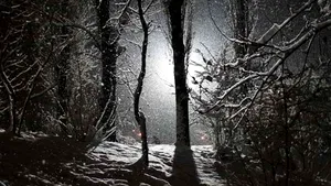 Cel puţin 15 localităţi au rămas fără curent electric în Republica Moldova din cauza intemperiilor