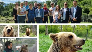 TotalEnergies Romania adoptă un ursuleţ din Sanctuarul Libearty Zărneşti