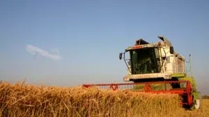 Romania Opposes To Further EU Suspension Of Grain Import Duties