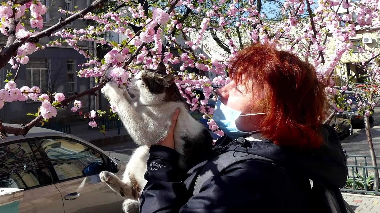Simţul olfactiv, un indicator al COVID-19 şi al stării de sănătate în general. Pierderea mirosului poate anunţa boli precum Alzheimer sau Parkinson