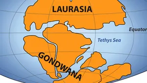 FOSILA celui mai vechi animal care a trăit pe continentul Gondwana, descoperită în Africa de Sud